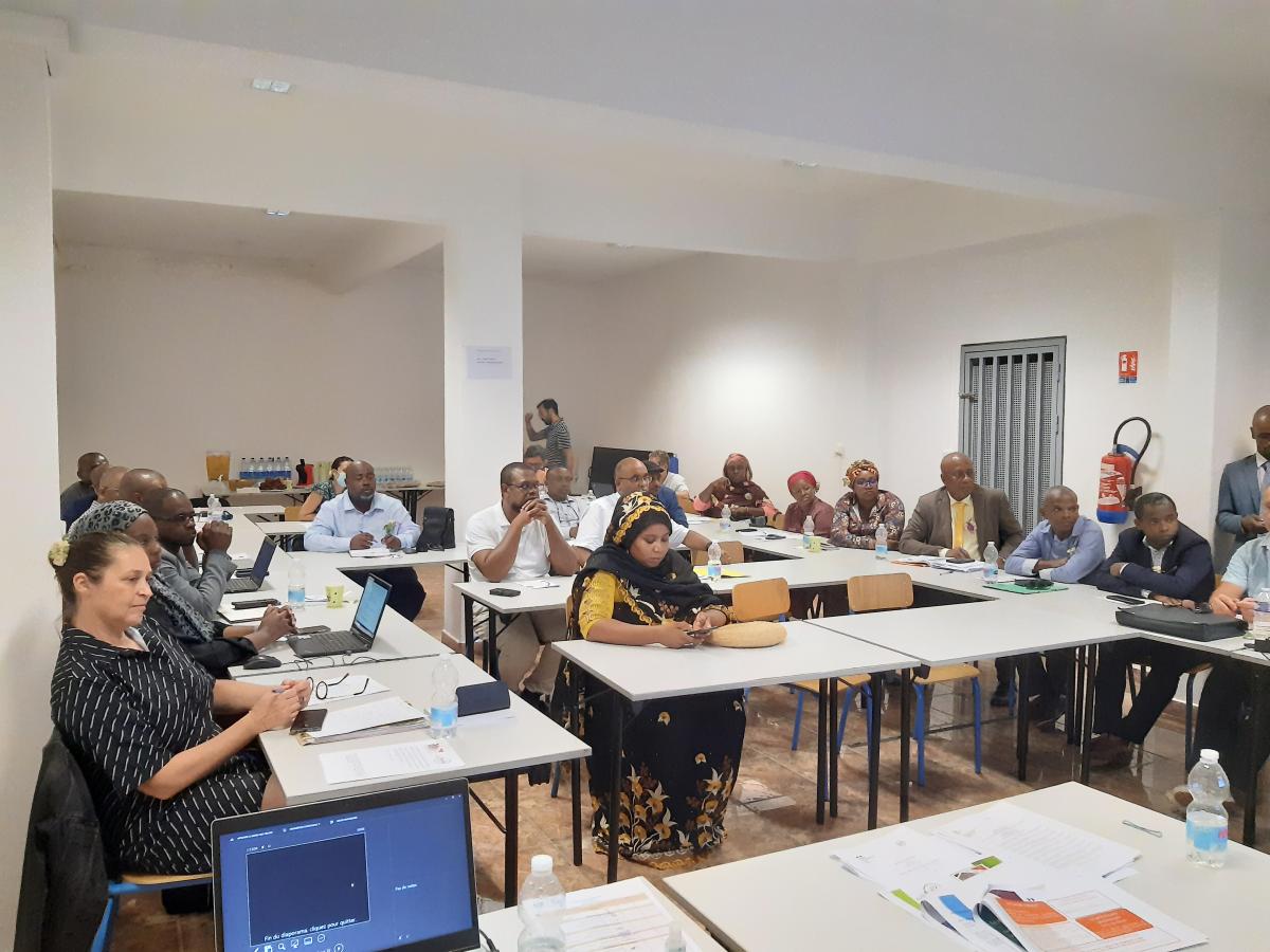 premier comité local du FIPHFP à Mayotte