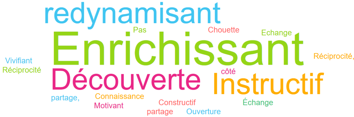 Nuage de mots des retours des participants