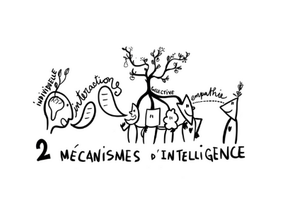 Intelligence collective