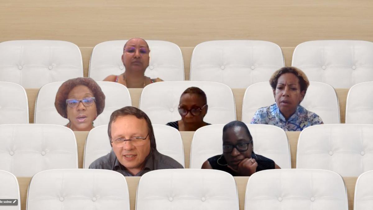 Capture d'écran de la réunion des référents handicap d'Antilles Guyane