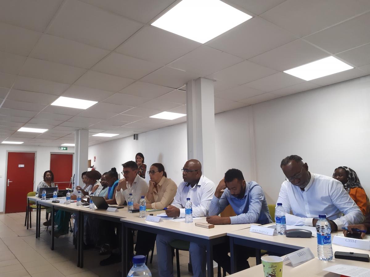 Membres du comité opérationnel du PRITH de Mayotte, réunion du 6 juillet