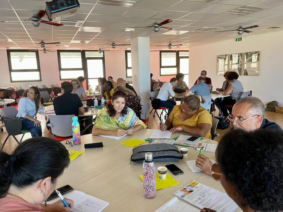 Première journée de la promotion de parrainage des référents handicap de la Réunion