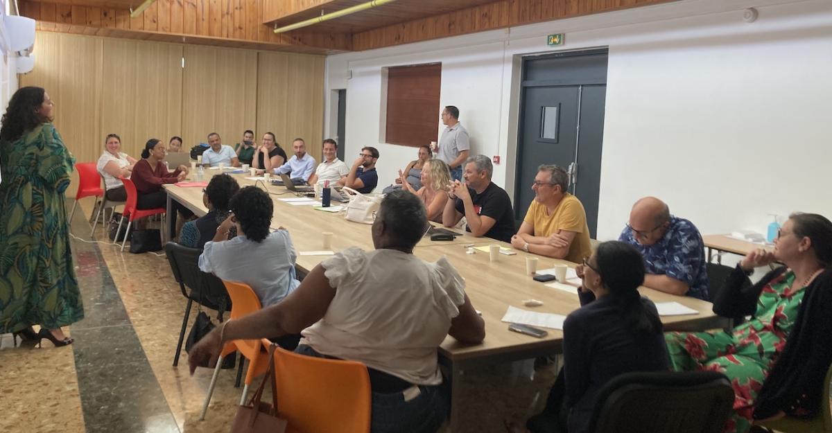 Participants à l'atelier du Handi-Pacte de la Réunion sur l'accompagnement des agents