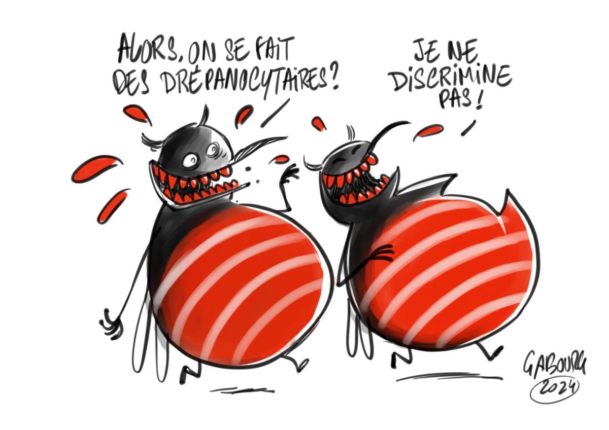 Dessin de deux moustiques. L'un dit à l'autre : Alors on se fait des drépanocytaires. L'autre lui répond : Je ne discrimine pas