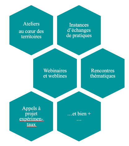 6 hexagones présentent les différents types d'actions qui seront menées par le Handi-Pacte Auvergne Rhône-Alpes : ateliers au coeur des territoires, instances d'échanges de pratiques, webinaires et weblines, rencontres thématiques, appels à projets expérimentaux, et bien plus