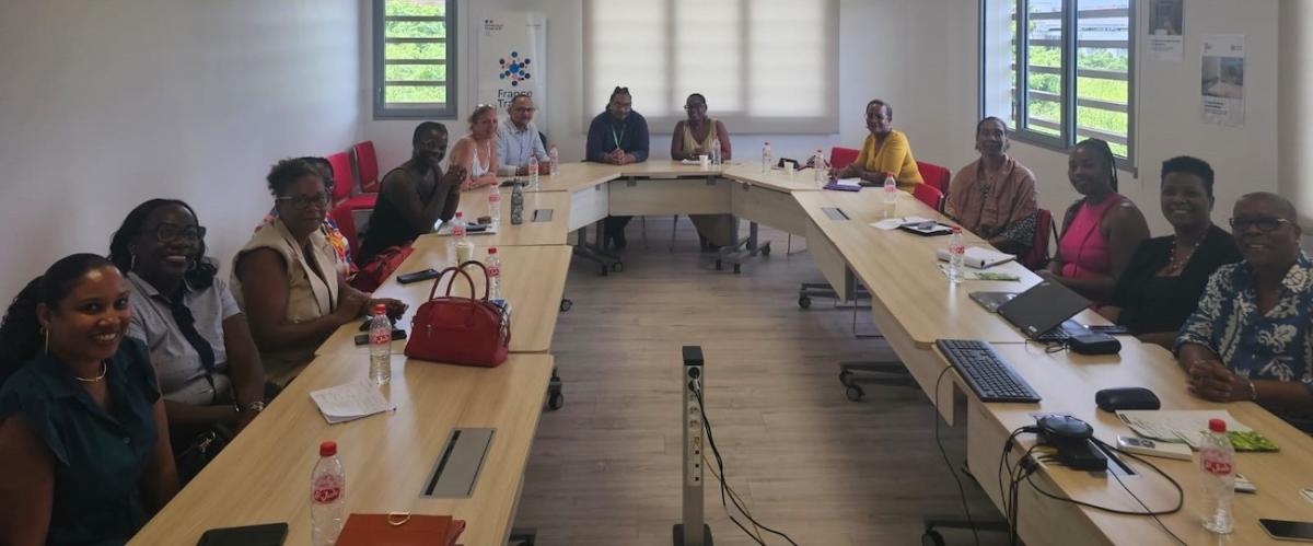 Participants à la réunion en Guadeloupe