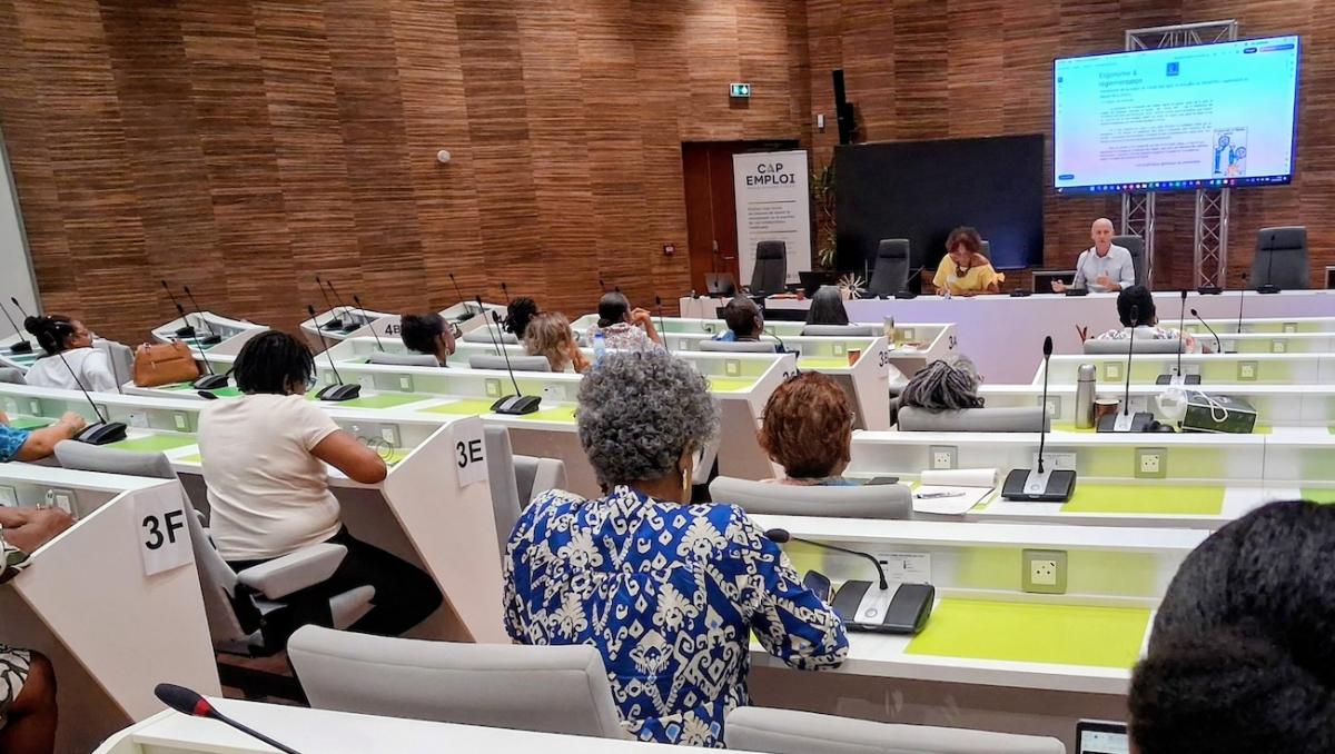 Vue de la salle et des participantes et participants à la journée du 27 octobre